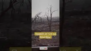 128-ая Бригада Вооруженных Сил Украины в Зоне Боевых Действий против армии россии.