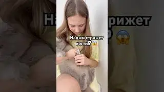 А ваши котики любят процедуры? 😏 #tiktok #cat #кот #тренды