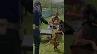 Mermiden hızlısın evlat ❤️ 