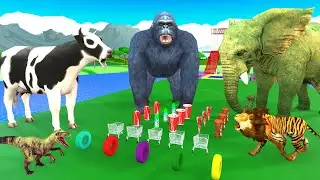 funny animal sliding game on trolley finding their own animals  lion gorilla dinosaur caw elephant