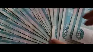 Судьба наших собак в наших руках
