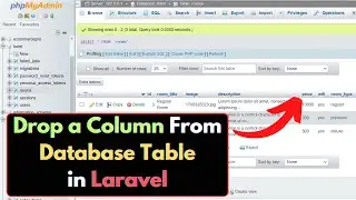 How to Drop / Remove a Column from Database Table in Laravel