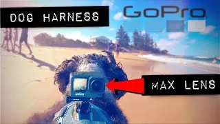 GoPro Max Lens Mod 🐶 DOG POV Harness