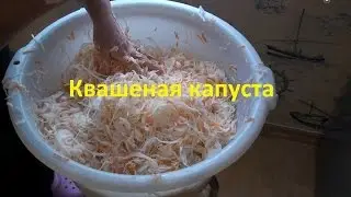 Квашеная капуста в домашних условиях рецепт