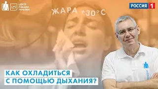 Как охладиться в жару с помощью... дыхания? | Владимир Бондаренко для Утро России