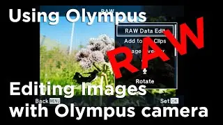 Using Olympus Tutorial: Editing raw-files with Olympus camera