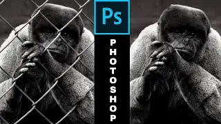 How to Remove Fence - Content Aware Fill -  Adobe Photoshop #shorts #short