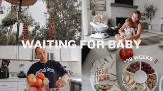 WAITING FOR BABY VLOG: zoo morning, beach day, meat delivery + groceries, waiting for baby!!!