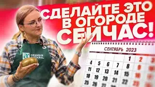 ЧТО ДЕЛАТЬ В САДУ И ОГОРОДЕ ОСЕНЬЮ?