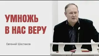 Евгений Шестаков. Умножь в нас веру