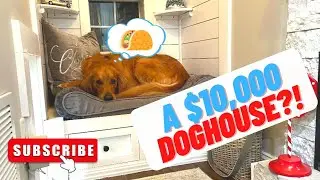 A $10,000 dog house?!