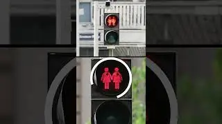 Vienna vs Berlin Traffic Lights: What Do They Mean? #shorts  #travel