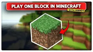 How to Play One Block in Minecraft With Friends (2024)