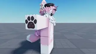 anim test