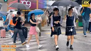 4k hdr Japan travel 2024 | Walk in Shibuya (渋谷) Tokyo Japan |  Relaxing Natural City ambience