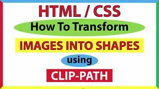 How To Transform An Image Into A Shape Using The CSS Clip Path Property *2023