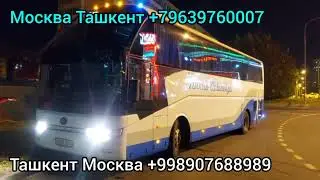 москва ташкент автобус москва узбекистан на машине прямой рейс 