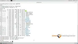 2.1 Переменные окружения | Linux для начинающих
