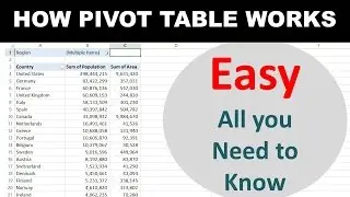 Using Pivot Tables to transform Large data into Beautiful Summaries (Beginner Pivot table Tutorial)