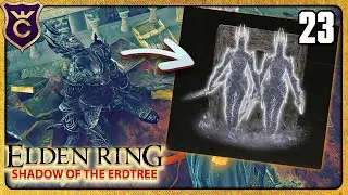 КВЕСТ НА САМЫЙ ДОРОГОЙ ПРАХ В ИГРЕ 23 ELDEN RING Shadow of the Erdtree