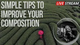 How To Improve Your Composition | LIVESTREAM