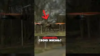 Дроны из реальных котов уже в продаже...
