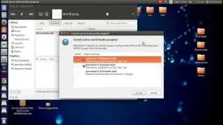 All-in-one Media plug-ins on Ubuntu