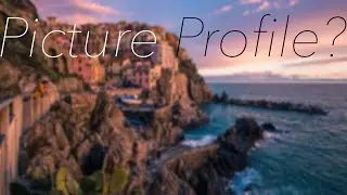 How To Choose The Best Sony Picture Profile For Cinematic Footage