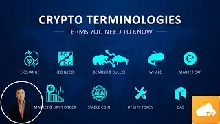 Crypto Terms & Lingo.
