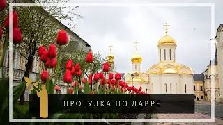 Виртуальная прогулка по Троице-Сергиевой Лавре