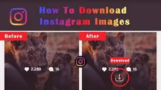 How To Download Instagram Images and Videos In High Quality - PC