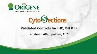 Webinar: CytoSections- validated controls for IHC, ISH and ICC