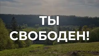 В ЧЕМ ТВОЯ СВОБОДА?