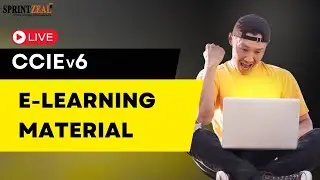 CCIE Training | Online CCIE certification by Sprintzeal | Learn CCIE | Live CCIE