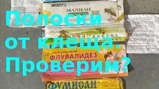 Полоски от клеща.Проверим?