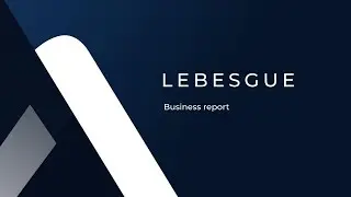 Lebesgue - Business report