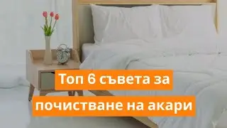 Топ 6 съвета за почистване на акари, които живеят в спалнята | Orange Frog