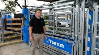 An Overview of the Taurus Auto Drafting Cattle Crush