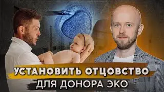 Когда донора для ЭКО признают отцом ребенка?