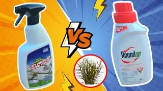 Weed Killer Showdown: Vinegar Vs Roundup