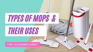 Types of Mops & Their Uses