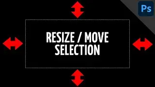 Move and resize selection | Transform selection | PHOTOSHOP BASICS - TIPS & TRICKS