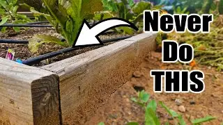 5 Beginner Raised Bed Garden WATERING MISTAKES to Avoid