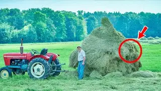 Тракторист не поверил своим глазам, когда увидел ЭТО в стоге сена!
