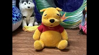 Destroy Disney Plush Winnie The Pooh Stuffed Toy
