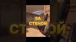 ТЕБЯ ВИДНО ЗА СТЕНОЙ🔥 