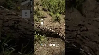 Sons of the Forest Beginner Two Logs 