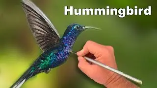 How to Paint a Hummingbird in Acrylic | Paint Along