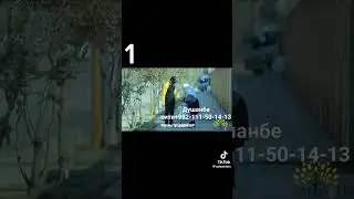 дар хаки МОДАРИ ТОЧИК хайр КУНЕД