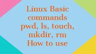 #2 Basic Linux commands for beginners & Professionals